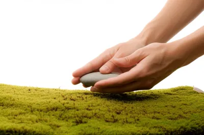 Illustration laid - Image 1