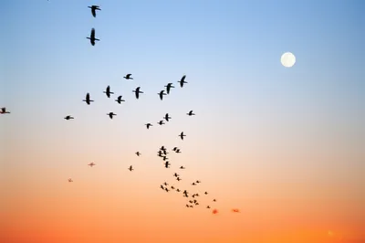 Illustration depart - Image 1