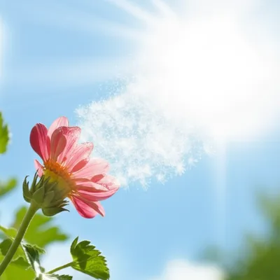 Illustration breathes - Image 1