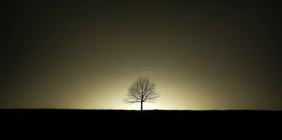 Illustration dawn - Image 1