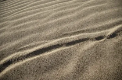 Illustration track - Image 1