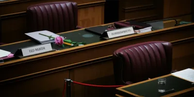 Illustration pair - Image 1