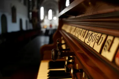 Illustration regal - Image 1