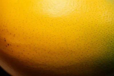 Illustration mango - Image 1