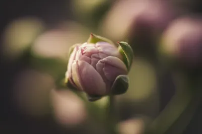 Illustration make - Image 1