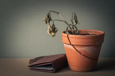 Illustration pinched - Image 1