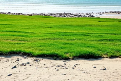 Illustration verges - Image 1