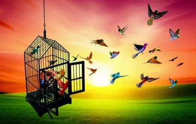 Illustration unleashed - Image 1