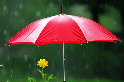 Illustration accompanying - Image 1