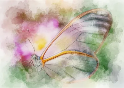 Illustration washing - Image 1