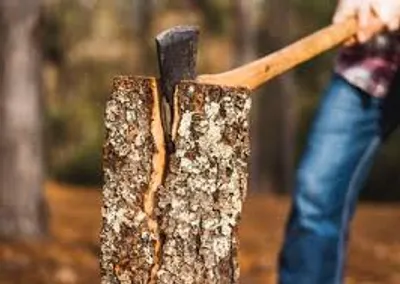 Illustration hew - Image 2