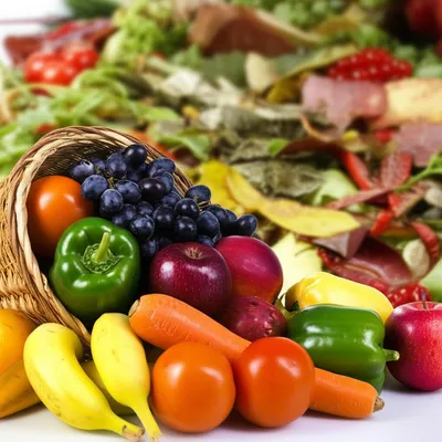 Illustration secondaries - Image 1