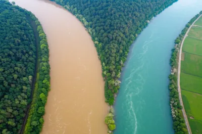 Illustration merged - Image 1