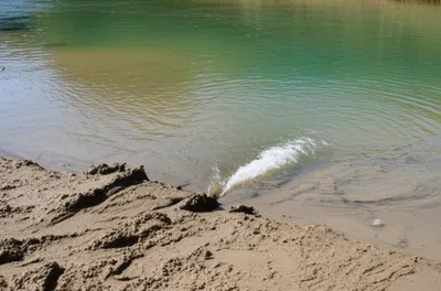 Illustration puddled - Image 1