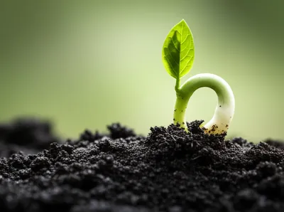 Illustration conception - Image 1