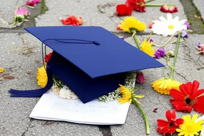 Illustration plucked - Image 1