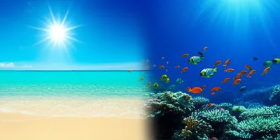 Illustration splits - Image 1