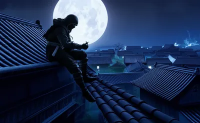 Illustration ninja - Image 1