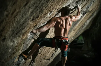 Illustration sinewed - Image 1