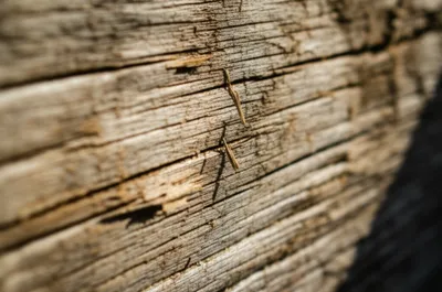 Illustration splints - Image 1