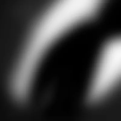 Illustration shadow - Image 1