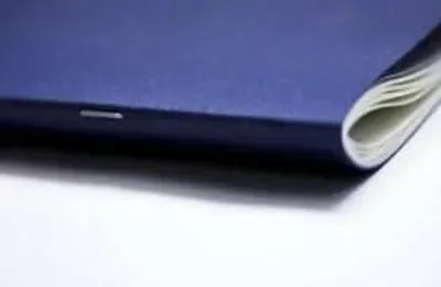 Illustration staple - Image 2