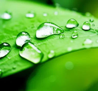 Illustration weep - Image 1