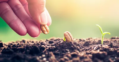 Illustration gives - Image 1