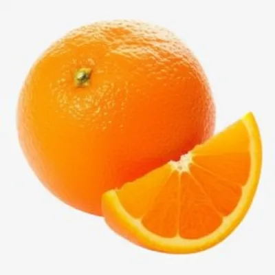 Illustration segment - Image 1