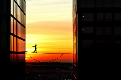 Illustration stakes - Image 1