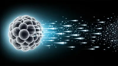 Illustration betas - Image 1