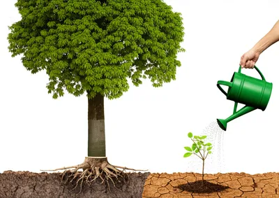 Illustration sacrifice - Image 1