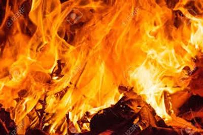 Illustration rousing - Image 3