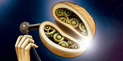 Illustration cracking - Image 1