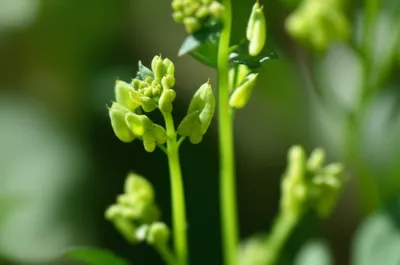 Illustration pouches - Image 1