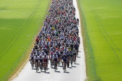 Illustration peloton - Image 1