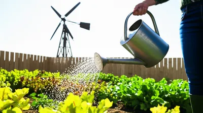 Illustration husbanded - Image 1