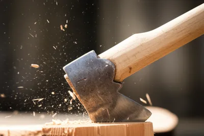 Illustration chop - Image 1