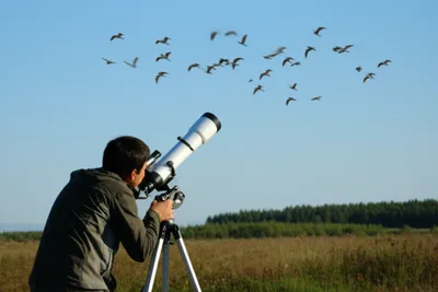 Illustration poles - Image 1