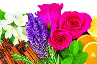 Illustration aromatic - Image 1