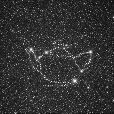 Illustration asterism - Image 1