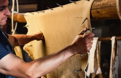 Illustration beaming - Image 1