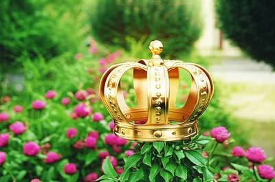 Illustration hoodwink - Image 1