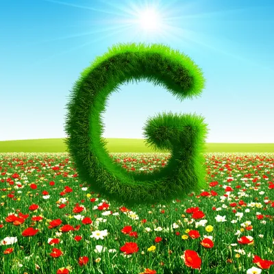 Illustration gee - Image 1