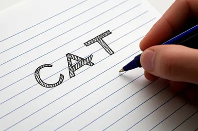 Illustration spelt - Image 1