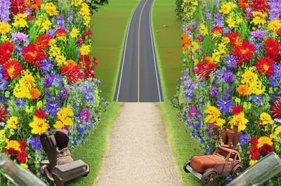 Illustration digressions - Image 1