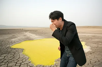 Illustration land - Image 1