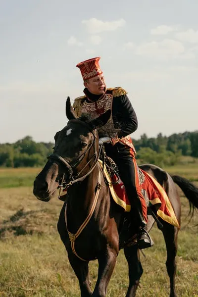 Illustration epaulettes - Image 2