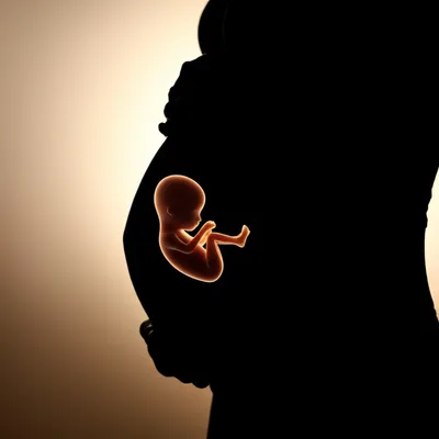 Illustration lie - Image 1