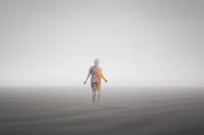 Illustration palest - Image 1